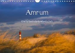 Amrum - Eine farbenfrohe Insellandschaft (Wandkalender 2019 DIN A4 quer)