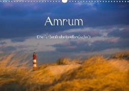 Amrum - Eine farbenfrohe Insellandschaft (Wandkalender 2019 DIN A3 quer)