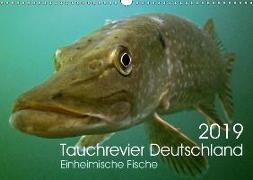 Tauchrevier Deutschland (Wandkalender 2019 DIN A3 quer)