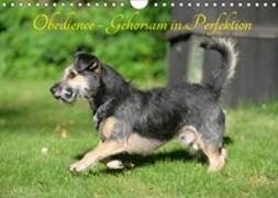 Obedience - Gehorsam in Perfektion (Wandkalender 2019 DIN A4 quer)