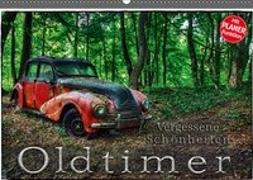 Oldtimer - Vergessene Schönheiten (Wandkalender 2019 DIN A2 quer)