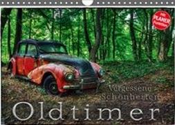 Oldtimer - Vergessene Schönheiten (Wandkalender 2019 DIN A4 quer)