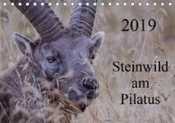 Steinwild am PilatusCH-Version (Tischkalender 2019 DIN A5 quer)