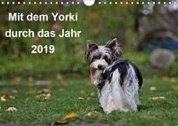 Mit dem Yorki durch das Jahr 2019 (Wandkalender 2019 DIN A4 quer)