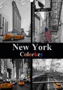 New York Colorkey (Wandkalender 2019 DIN A3 hoch)