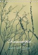 STIMMUNGEN - Gräser und Zweige (Tischkalender 2019 DIN A5 hoch)
