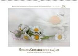 Mit guten Gedanken durch das Jahr (Wandkalender 2019 DIN A2 quer)