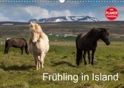 Frühling in Island (Wandkalender 2019 DIN A3 quer)