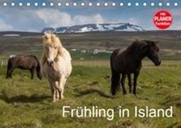 Frühling in Island (Tischkalender 2019 DIN A5 quer)