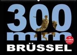 300mm - Brüssel (Wandkalender 2019 DIN A2 quer)