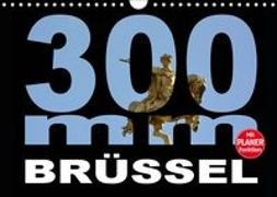 300mm - Brüssel (Wandkalender 2019 DIN A4 quer)