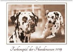Farbenspiel der Hunderassen (Wandkalender 2019 DIN A2 quer)