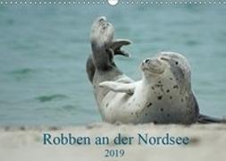 Robben an der Nordsee (Wandkalender 2019 DIN A3 quer)
