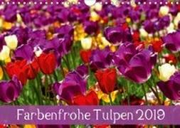 Farbenfrohe Tulpen 2019 (Wandkalender 2019 DIN A4 quer)
