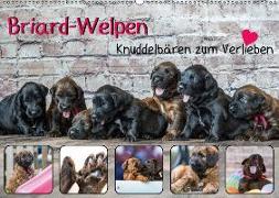 Briard-Welpen - Knuddelbären zum Verlieben (Wandkalender 2019 DIN A2 quer)
