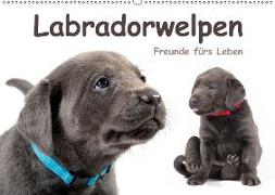 Labradorwelpen - Freunde fürs Leben (Wandkalender 2019 DIN A2 quer)