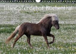 Islandpferdehof Buchenthal (Wandkalender 2019 DIN A4 quer)