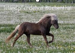 Islandpferdehof Buchenthal (Wandkalender 2019 DIN A3 quer)