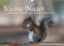 Kleine Nager - Eichhörnchen Erdmännchen, Murmeltier und Co (Wandkalender 2019 DIN A3 quer)
