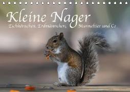 Kleine Nager - Eichhörnchen Erdmännchen, Murmeltier und Co (Tischkalender 2019 DIN A5 quer)
