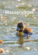 Deutschlands Wasservögel (Wandkalender 2019 DIN A3 hoch)