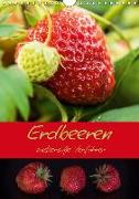 Erdbeeren - zuckersüße Verführer (Wandkalender 2019 DIN A4 hoch)