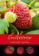 Erdbeeren - zuckersüße Verführer (Wandkalender 2019 DIN A3 hoch)
