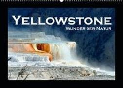 Yellowstone - Wunder der Natur (Wandkalender 2019 DIN A2 quer)