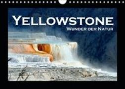 Yellowstone - Wunder der Natur (Wandkalender 2019 DIN A4 quer)