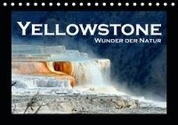 Yellowstone - Wunder der Natur (Tischkalender 2019 DIN A5 quer)