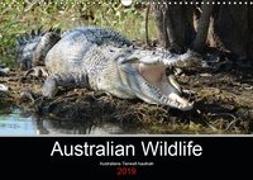 Australian Wildlife (Wandkalender 2019 DIN A3 quer)