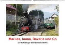 Mariuta, Ioana, Bavaria und Co (Wandkalender 2019 DIN A2 quer)