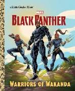 Warriors of Wakanda (Marvel: Black Panther)