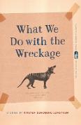 What We Do with the Wreckage: Stories