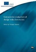 Comparative Evaluation of Sludge Reduction Routes