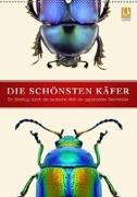 Die schönsten Käfer (Wandkalender 2019 DIN A2 hoch)