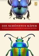Die schönsten Käfer (Wandkalender 2019 DIN A3 hoch)
