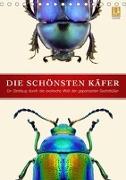 Die schönsten Käfer (Tischkalender 2019 DIN A5 hoch)