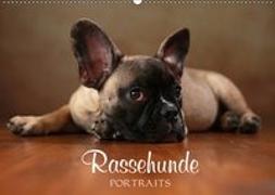 Rassehunde Portraits (Wandkalender 2019 DIN A2 quer)