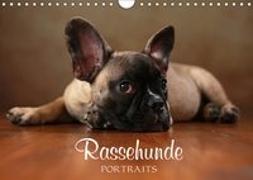 Rassehunde Portraits (Wandkalender 2019 DIN A4 quer)