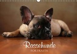 Rassehunde Portraits (Wandkalender 2019 DIN A3 quer)