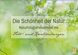 Die Schönheit der Natur - Naturfotografie-Kalender mit Foto- und Kreativübungen (Wandkalender 2019 DIN A2 quer)
