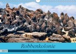 Robbenkolonie Duiker Island Südafrika (Wandkalender 2019 DIN A4 quer)