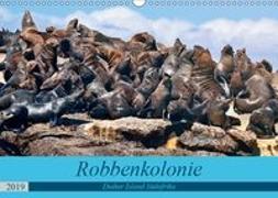 Robbenkolonie Duiker Island Südafrika (Wandkalender 2019 DIN A3 quer)