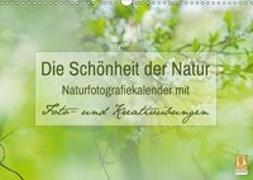 Die Schönheit der Natur - Naturfotografie-Kalender mit Foto- und Kreativübungen (Wandkalender 2019 DIN A3 quer)