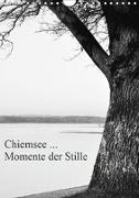 Chiemsee ... Momente der Stille (Wandkalender 2019 DIN A4 hoch)