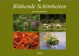 Blühende Schönheiten an Gewässern (Wandkalender 2019 DIN A2 quer)