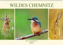 Wildes Chemnitz - Hase, Eisvogel und Co. (Wandkalender 2019 DIN A2 quer)