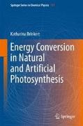 Energy Conversion in Natural and Artificial Photosynthesis