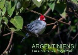 Argentiniens faszinierende Vogelwelt (Wandkalender 2019 DIN A3 quer)